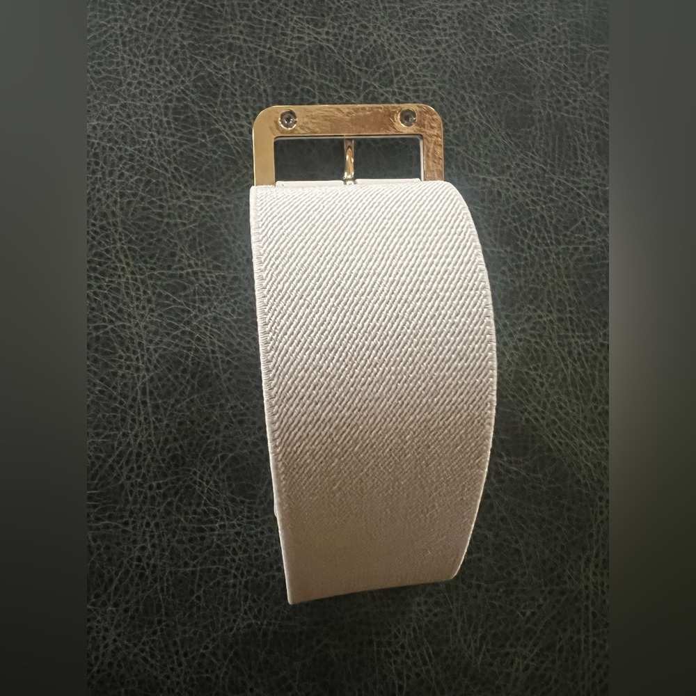 Banana Republic Belt Wide with Square Buckle Light Gray Size M/L - Picture 8 of 11